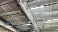 IMG_2875.JPEG